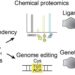 Base editing and chemical proteomics