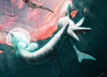 Jormungandr walhallaensis illustration