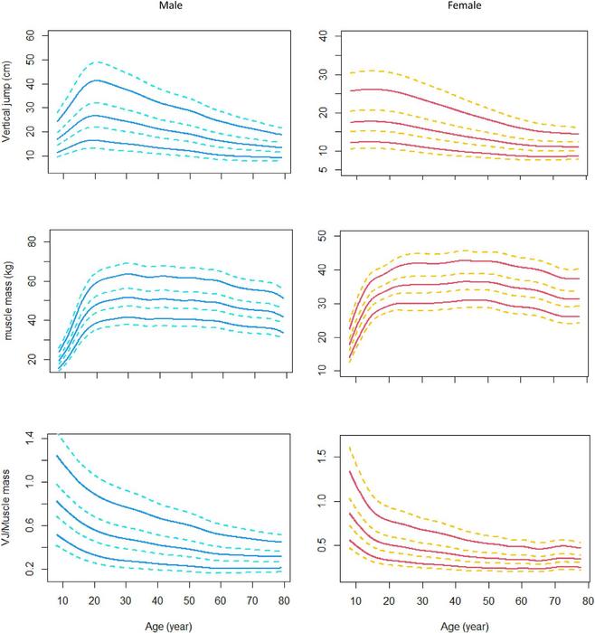 Vertical jump, muscle mass, and VJ/muscle mass reference percentiles for Chinese people aged 8e80, stratified by sex.