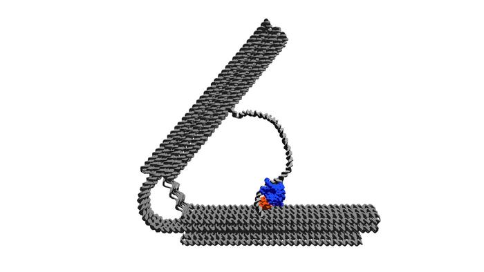 The novel type of nanomotor