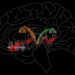 Seamlessly multiplexing memory storage and recall