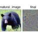 Neural network images