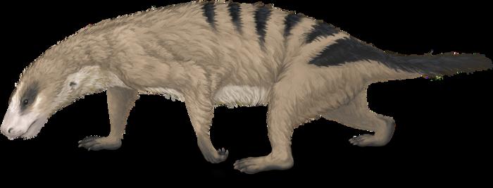 Thrinaxodon