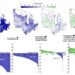 Spatial pattern maize production