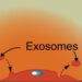 Exosomes