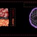 Constructing Br-Doped Li10SnP2S12-Based All-Solid-State Batteries with Superior Performances