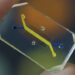 Image of a microfluidic Organ Chip device