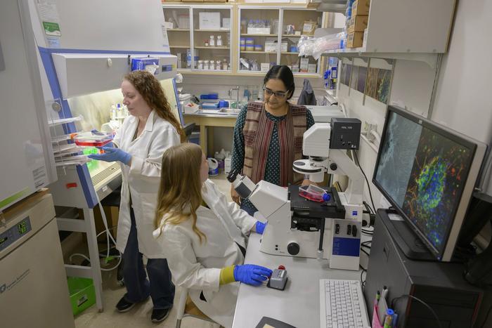 UArizona Health Sciences research laboratory