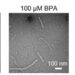 Fig 3a Wang et al