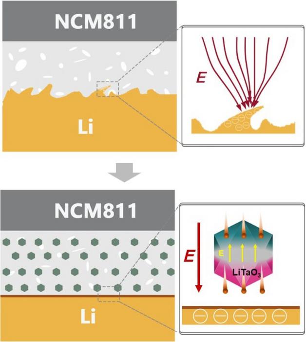 Enhancing battery performance with functional ceramic fillers for composite solid-state electrolytes