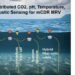 Measuring Ocean Carbon & pH via Buoys