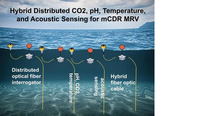 Measuring Ocean Carbon & pH via Buoys