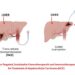 Enhanced Treatment of Liver Carcinoma with a Catheter-Administered or Injectable Drug-Eluting Hydrogel