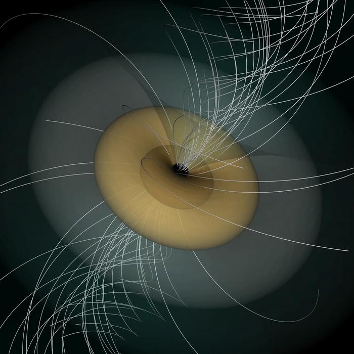 A rotating black hole dragging magnetic field lines