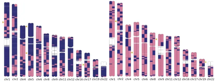 Genetics study shines light on health disparities for IBD