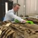 Jack Ashby with the University Museum of Zoology thylacine skins