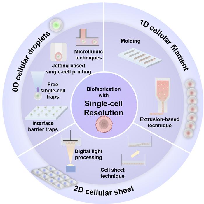 Enabling methods to generate and construct the single-cell building blocks