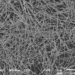 Nanowire neural network