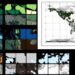 A large-scale annotated dataset for global land cover mapping