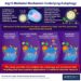 Atg15-Mediated Mechanism Underlying Autophagy