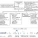 Novel Method Unveils Cancer Origins: DNA Methylation Profiling Reveals Primary Sites of Metastatic Cancers