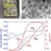 Microscopic structure and actuation performance of nanoporous platinum (np-Pt)