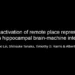 Hippocampal brain-machine interface (part 1)