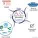 Principles of a new multilateral ABS system for digital sequence information built on a new approach to benefit sharing