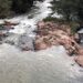 Researchers profile pollutants present in an important river basin in São Paulo state, Brazil