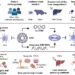 Opportunities and challenges for hepatitis B cure.