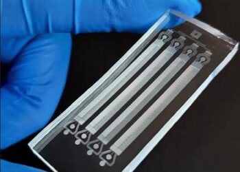 Close up view of the stem cell sorting chip (Photo: SMART CAMP)