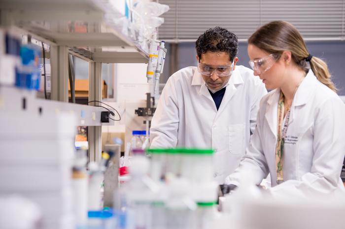 Pankaj Karande, left, and Carolina Catarino in the lab