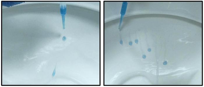 Slippery toilet bowl treatment causes bacteria to slide right off