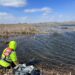 Surveilling wetlands for infectious bird flu — and finding it