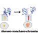 Thermo-/mechano-chromism originating from monomer-dimer transformation