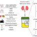 Urine biomarkers can outperform serum biomarkers in certain diseases