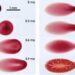 A tiny drop of blood during the millisecond it impacts a solid surface