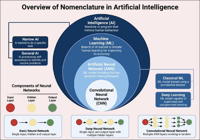 Overview of nomenclature associated with artificial intelligence.