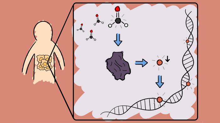 Formaldehyde regulates enzymes involved in epigenetic methylation of DNA