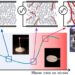 Stress-Activated Friction in Sheared Suspensions Probed with Piezoelectric Nanoparticles