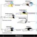 Evolutionary history of temporal skull morphology in Reptilia and developmental insights into cranial diversification