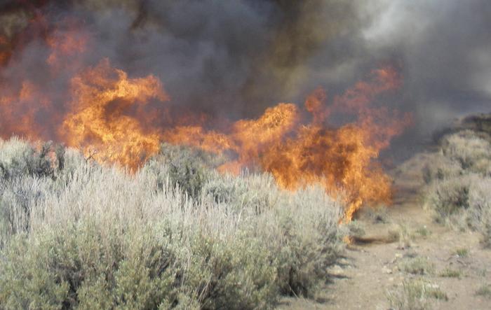 Fire in Sagebrush