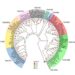 Phylogenetic tree and the revised classification of TAS1R members.