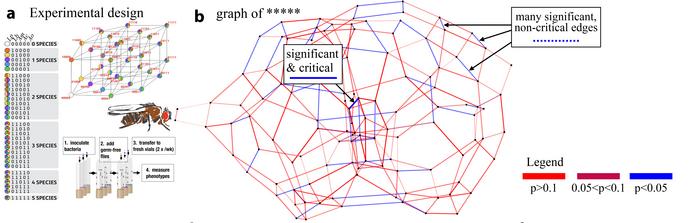 Graphical representation of microbiome manipulations