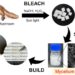 Extracting mycelium fibers from mushrooms