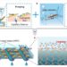 The principle of the biomimetic hydrogel fiber composed pattern