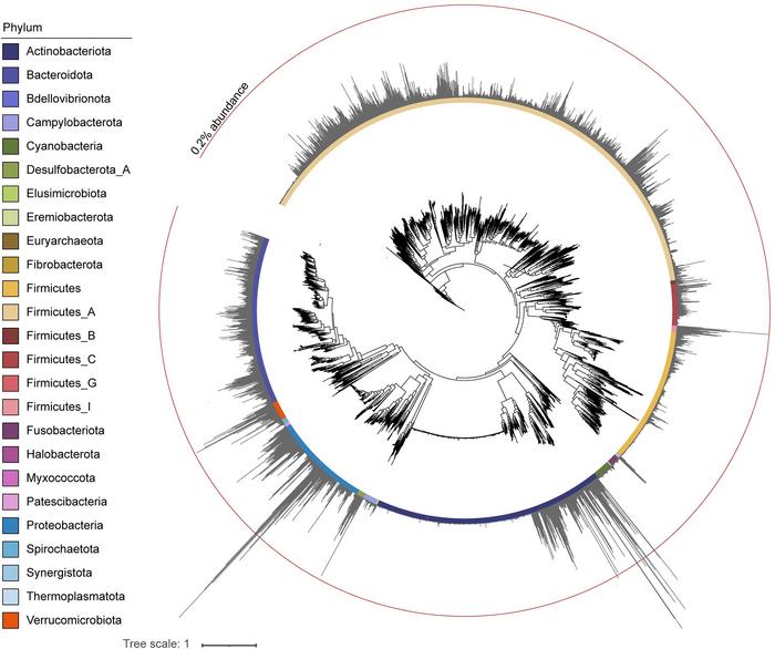 Metagenomic analyses of 7000 to 5500 years old coprolites excavated from the Torihama shell-mound site in the Japanese archipelago