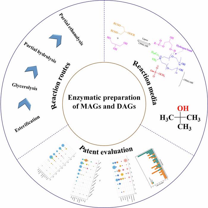 Greener and feasible production: Enzymatic methods for mono- and ...