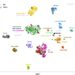 Gene expression profile distribution and B-acute lymphoblastic leukemia (B-ALL) subtypes of the study cohort