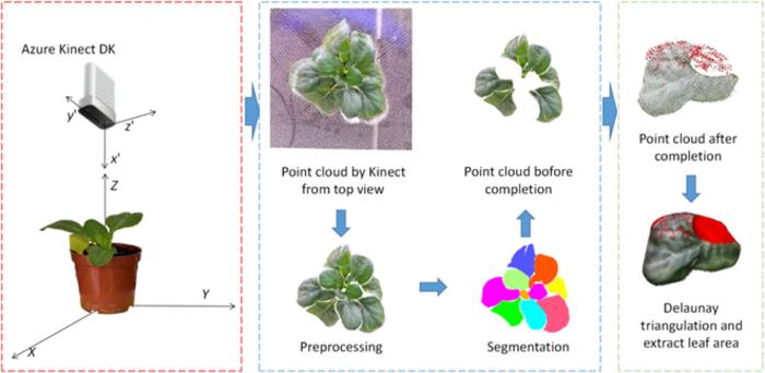 Revolutionizing plant phenotyping: deep learning and 3D point cloud ...